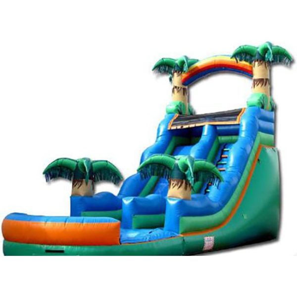 Wet Slide with Pool